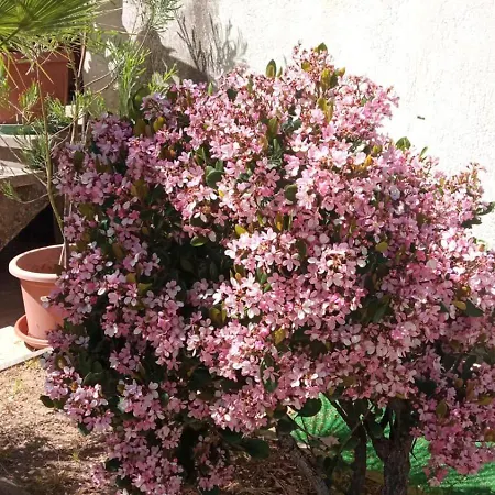 Apartment Casa Di Zoe: Bike-friendly With Bbq Garden Civita Castellana